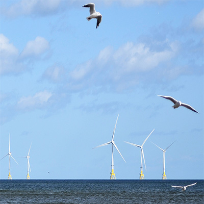 Investing in action, paying for inaction