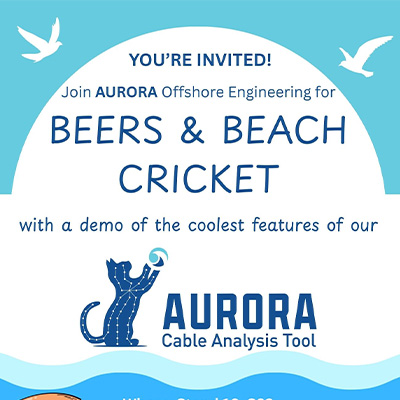 Beers & Beach Cricket