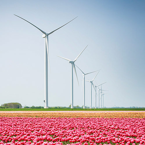 Key Policy Initiatives