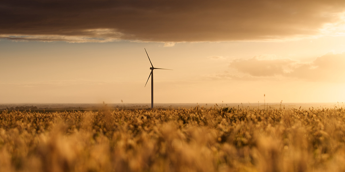 wind turbine