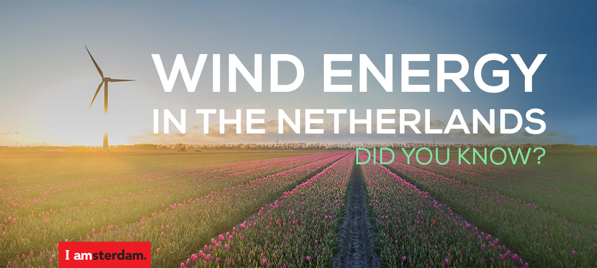 A wind energy plant with the capacity to supply one million homes