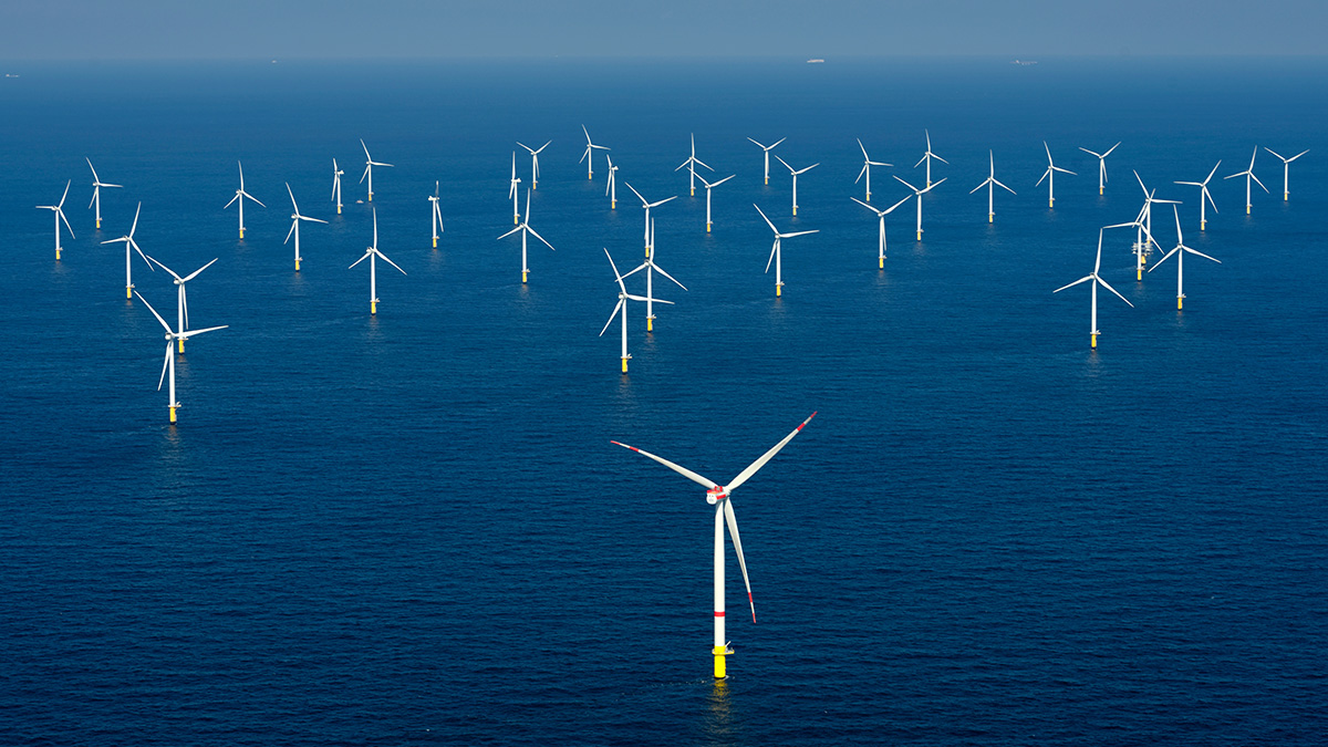 Offshore wind power new arrivals