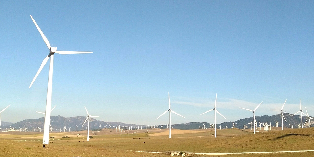 wind farm