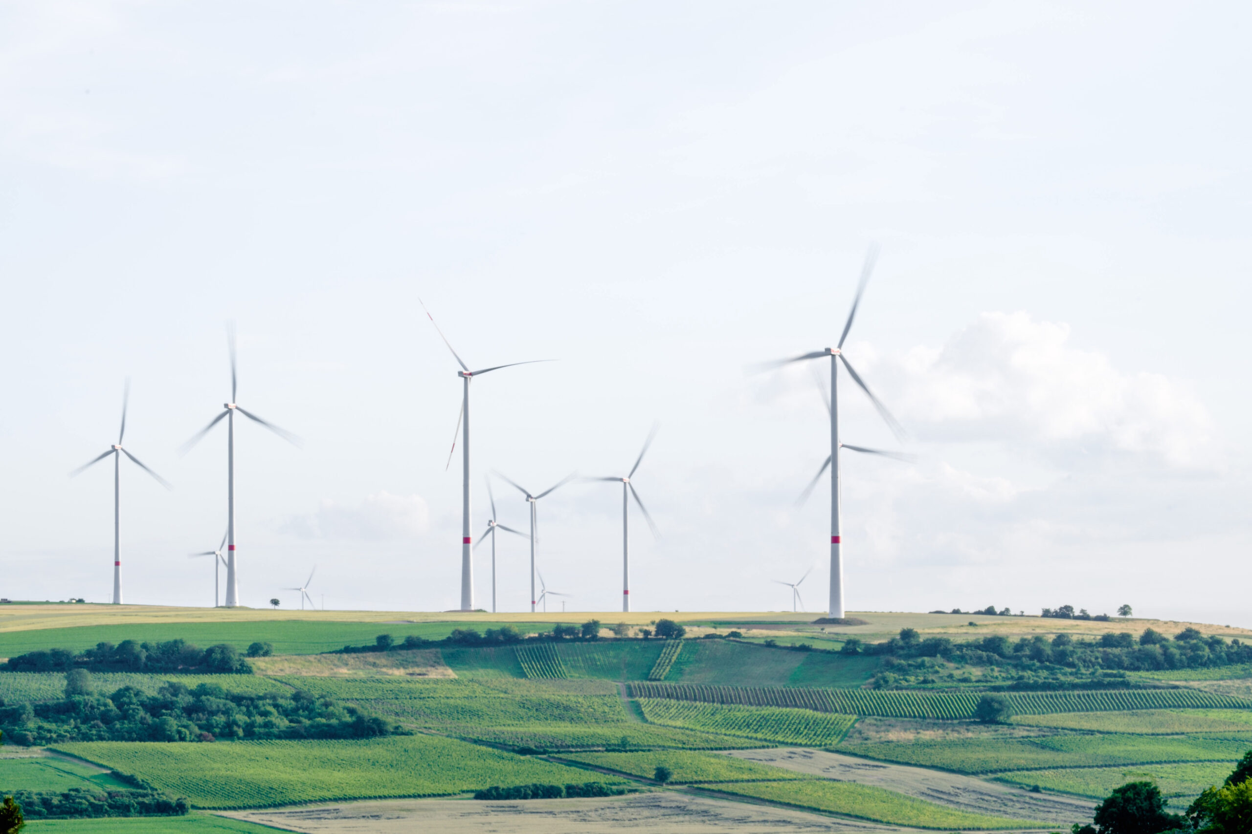 wind-turbines-german-wind-auction