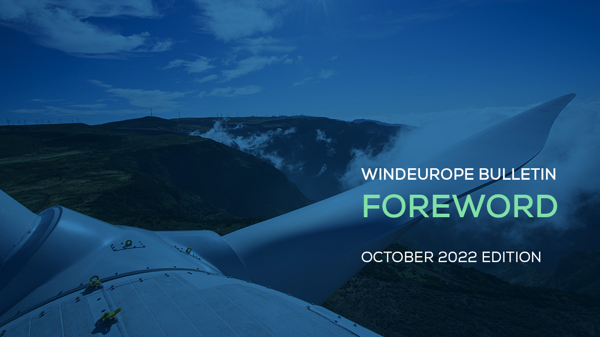 CEO von WindEurope spricht über neue EU-Einnahmenobergrenzen für Windparks und Lizenzierungsentwicklungen
